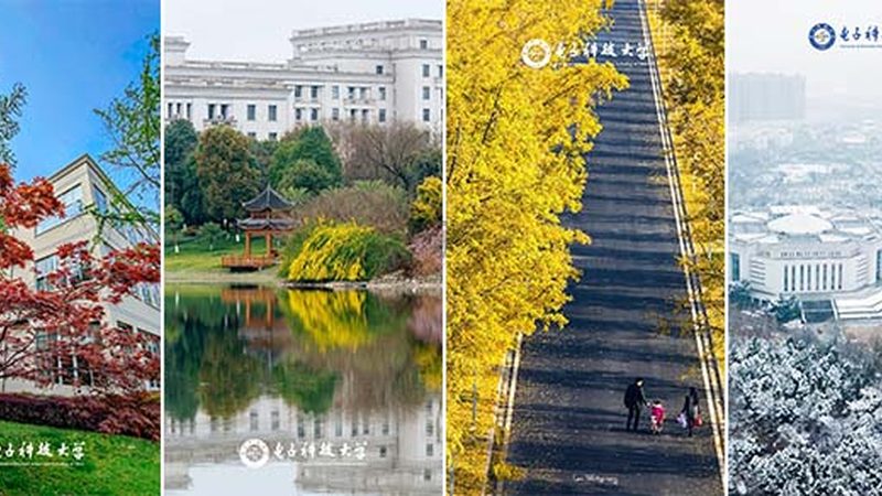 多层板打样：揭秘价格背后的秘密