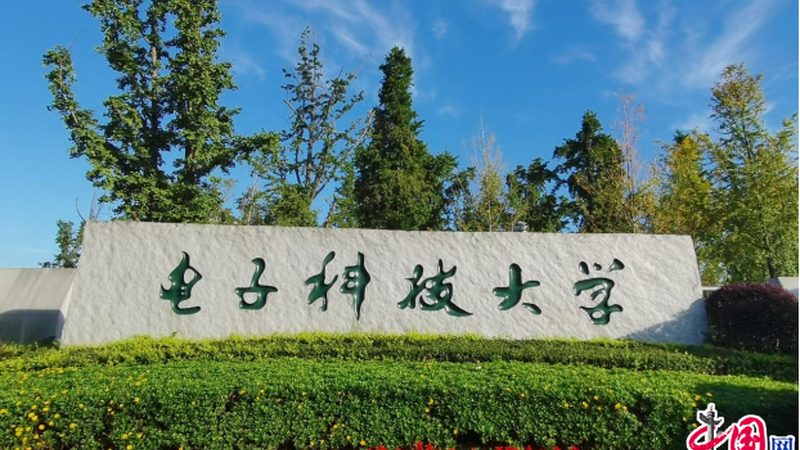安规电容X2 Y1：揭秘其关键特性与选购要点